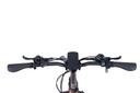 SWFT OC20 FAT EBIKE