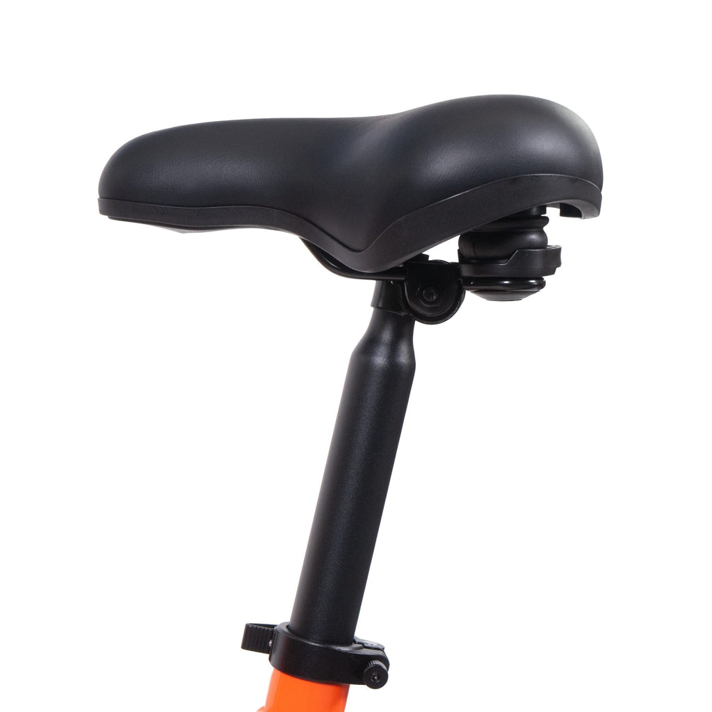 Fat Bike Eléctrica SWFT OD20 250W 48V 13Ah | Hasta 120km - Abc-e Store
