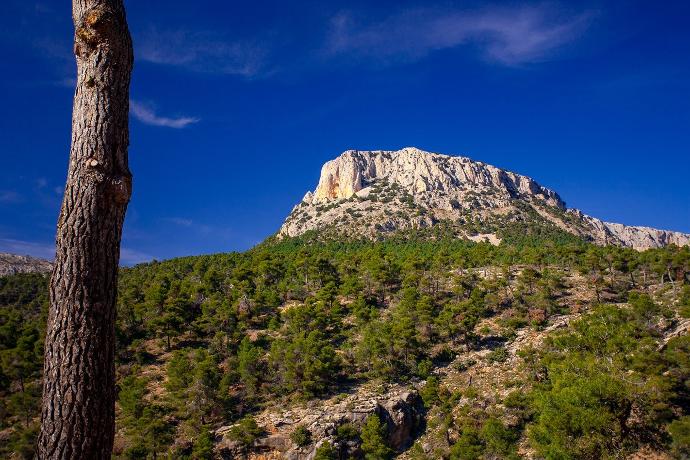 Foto del pico de sierra espuna Ruta en bicicleta electrica alquilada por sierra Espuna