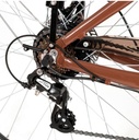 Youin Viena CREMA 28", 15AH, 250