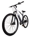 Youin MTB Everest 29" - 14AH LG, 250W