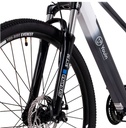 Youin MTB Everest 29" - 14AH LG, 250W
