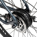 Youin MTB Everest 29" - 14AH LG, 250W