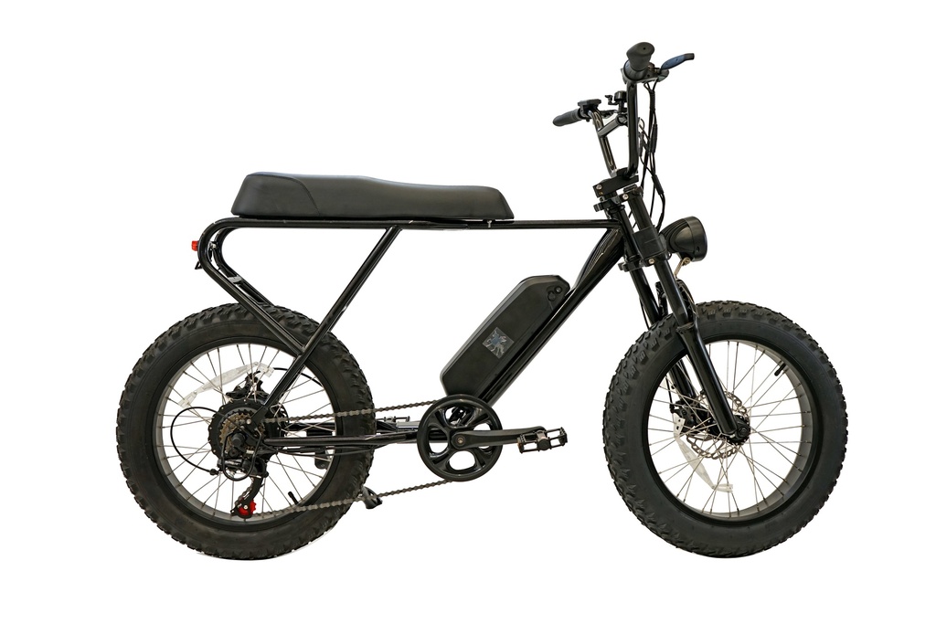 MX20 FAT eBike