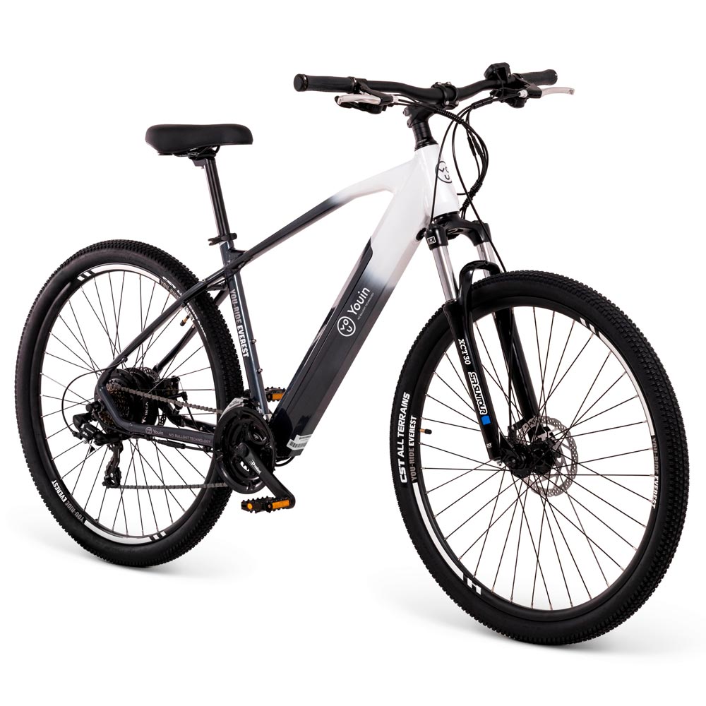 Youin Everest MTB 29"-14AH LG, 250W