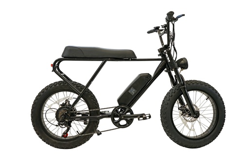 [14120501] MX20 FAT eBike
