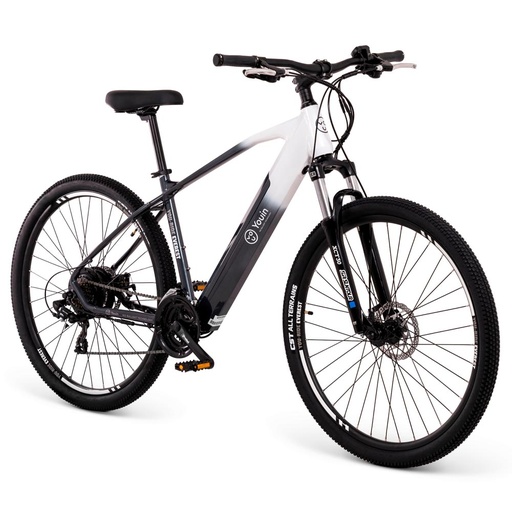 [BK3100M] Youin Everest MTB 29"-14AH LG, 250W